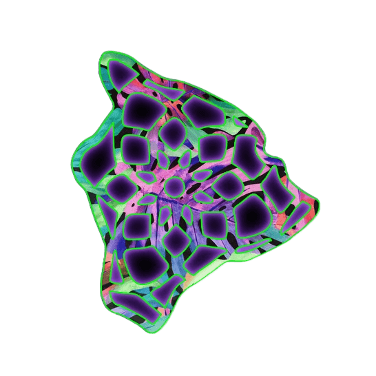 Big Island Hub for Transformational Teachings